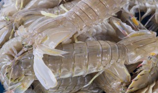 椒盐皮皮虾先煮熟再油炸可以吗（椒盐皮皮虾可以先用水煮再炸吗）-九图集