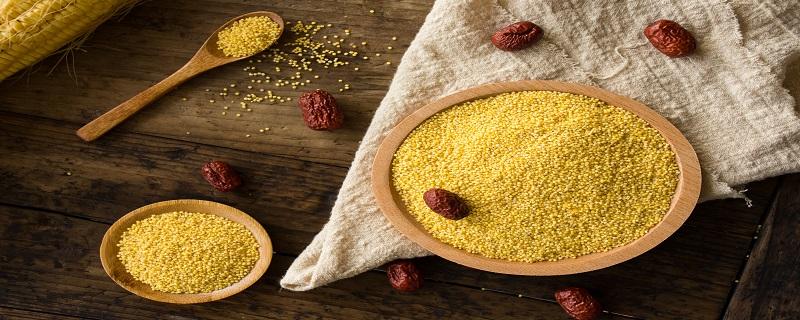 新鲜的小米怎么分辨 怎么辨别米的新鲜