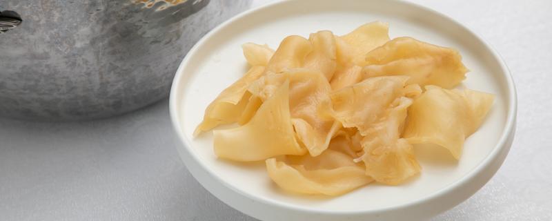 燕窝和花胶哪个比较好（燕窝和花胶哪个更好）-九图集