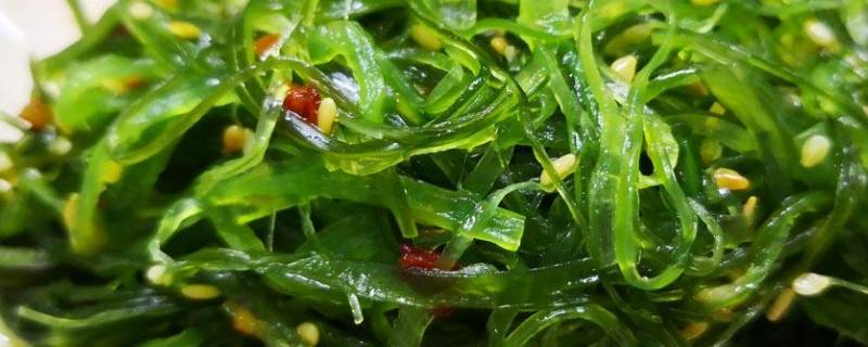 裙带菜有什么营养（裙带菜有什么营养功效）-九图集