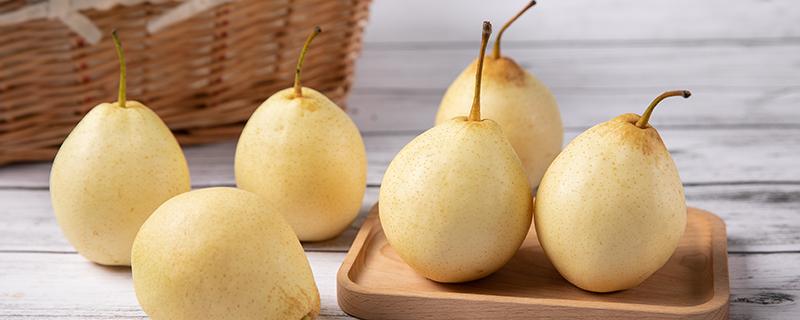 体内湿气重能吃梨吗（体内湿气重能吃梨吗?）-九图集