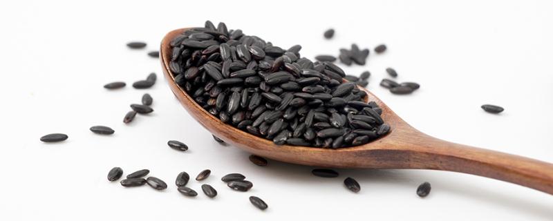 薏仁和大米哪个热量高 薏仁和大米哪个热量高一些-九图集