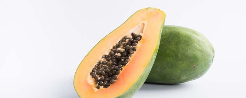 青木瓜下奶还是熟木瓜下奶（青木瓜下奶好还是红木瓜下奶好）-九图集