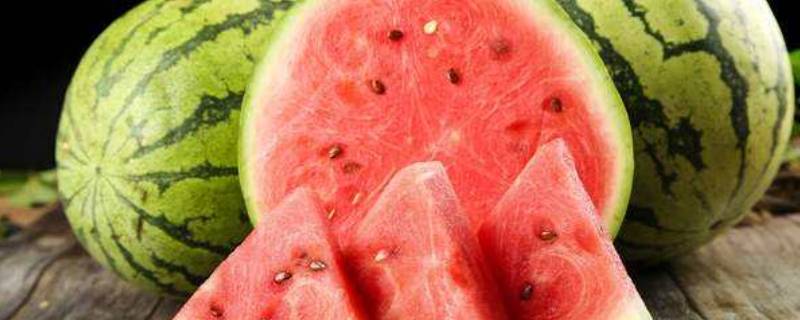 冬天的西瓜是哪里来的（冬天的西瓜长什么样子）