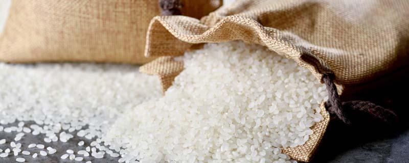 米里有很多黑虫子怎么处理（米里有很多黑虫子还能吃吗）-九图集