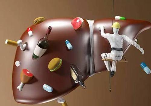 脂肪肝吃什么食物好（重度脂肪肝吃什么食物好）-九图集