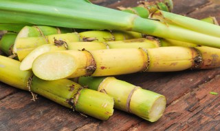 甘蔗是水果还是蔬菜 甘蔗是水果还是蔬菜?