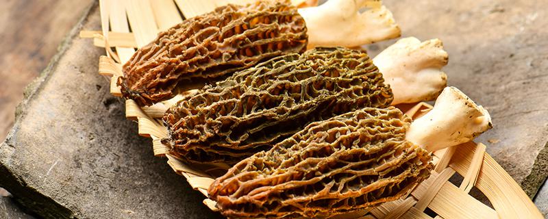 高血压能吃羊肚菌吗 高血脂能吃羊肚菌吗-九图集