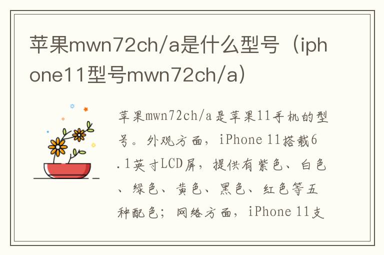 苹果mwn72ch/a是什么型号（iphone11型号mwn72ch/a）-九图集