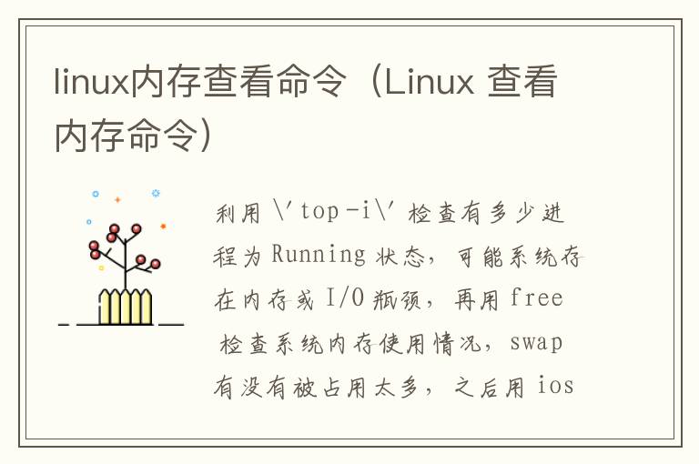 linux内存查看命令(Linux 查看内存命令)-九图集