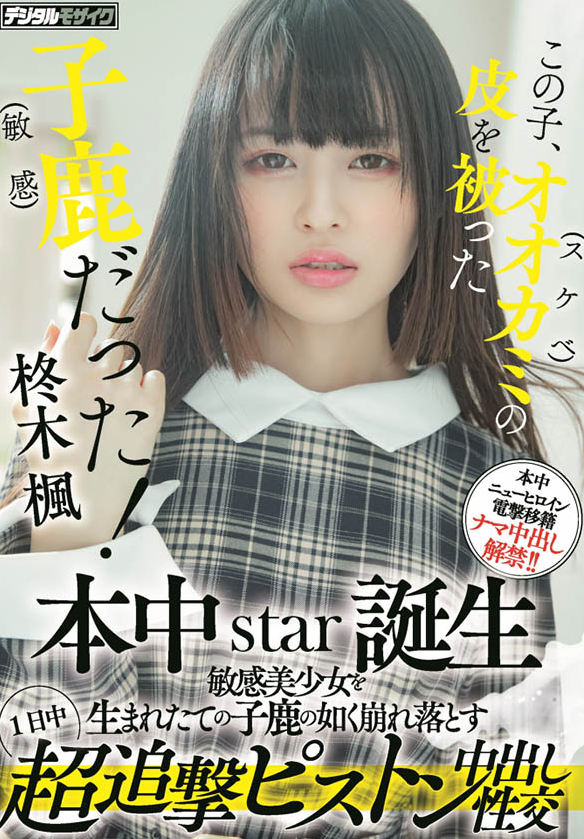 柊木枫品番HMN-049简介及预览-九图集