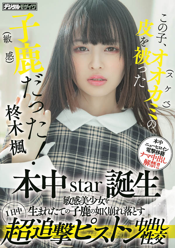 柊木枫(Hiiragi-Kaede)品番HMN-049简介及预览-九图集