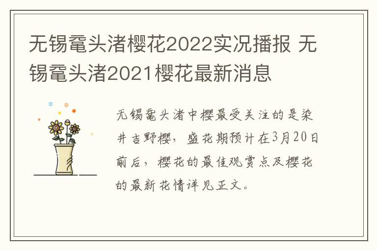 无锡鼋头渚樱花2022实况播报 无锡鼋头渚2021樱花最新消息
