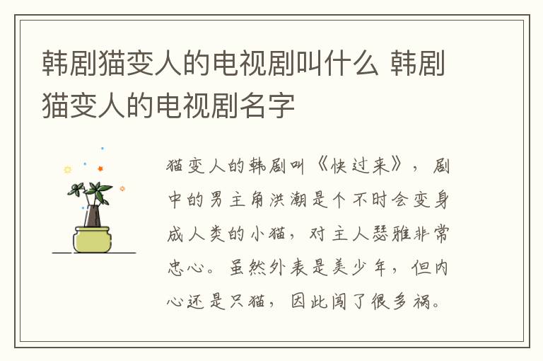 韩剧猫变人的电视剧叫什么 韩剧猫变人的电视剧名字-九图集