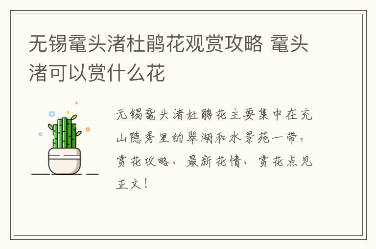 无锡鼋头渚杜鹃花观赏攻略 鼋头渚可以赏什么花