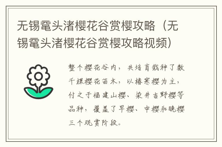 无锡鼋头渚樱花谷赏樱攻略（无锡鼋头渚樱花谷赏樱攻略视频）