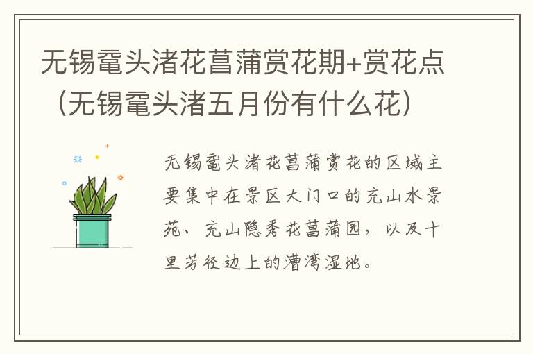 无锡鼋头渚花菖蒲赏花期+赏花点（无锡鼋头渚五月份有什么花）-九图集