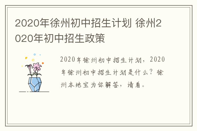 2020年徐州初中招生计划 徐州2020年初中招生政策-九图集