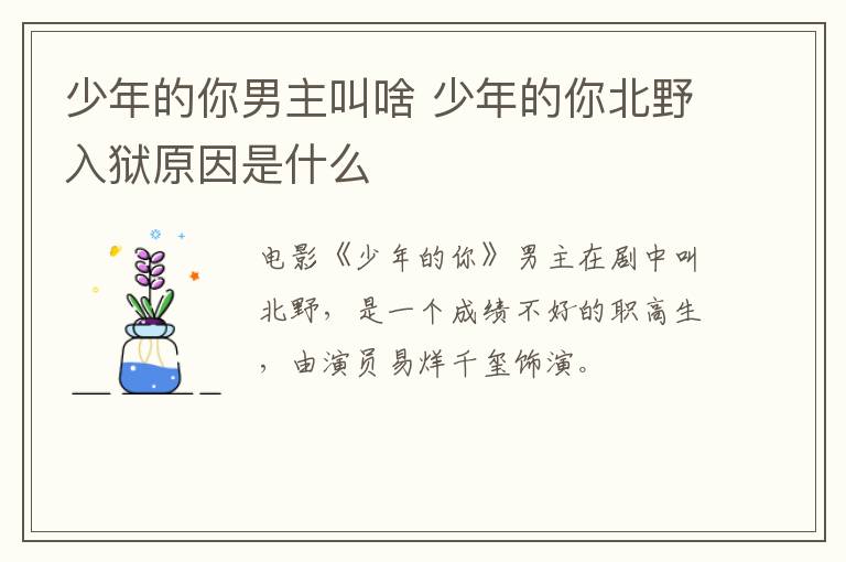 少年的你男主叫啥 少年的你北野入狱原因是什么-九图集