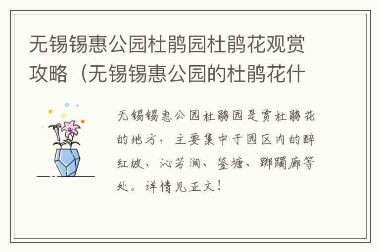 无锡锡惠公园杜鹃园杜鹃花观赏攻略（无锡锡惠公园的杜鹃花什么时候开）-九图集