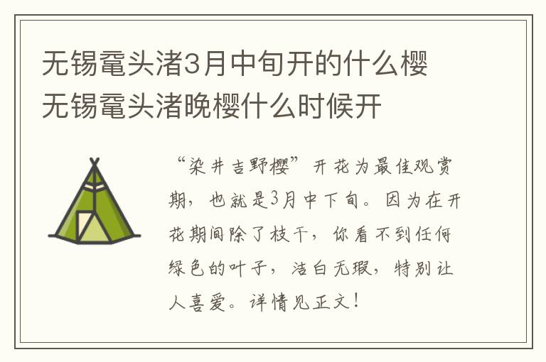 无锡鼋头渚3月中旬开的什么樱 无锡鼋头渚晚樱什么时候开-九图集