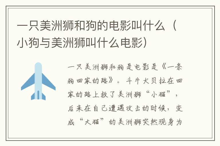 一只美洲狮和狗的电影叫什么（小狗与美洲狮叫什么电影）