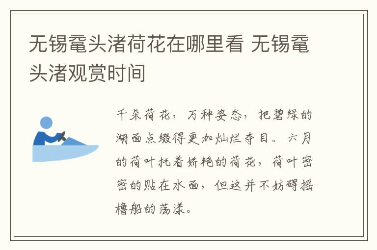 无锡鼋头渚荷花在哪里看 无锡鼋头渚观赏时间-九图集