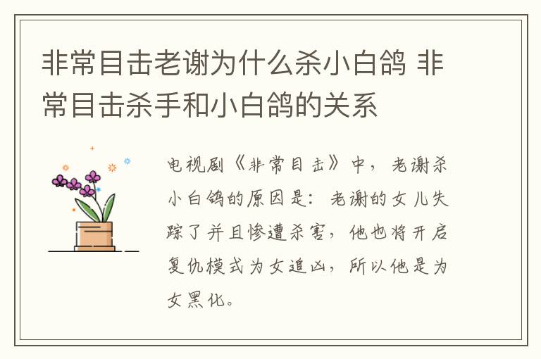 非常目击老谢为什么杀小白鸽 非常目击杀手和小白鸽的关系-九图集