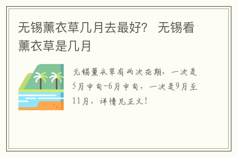 无锡薰衣草几月去最好？ 无锡看薰衣草是几月