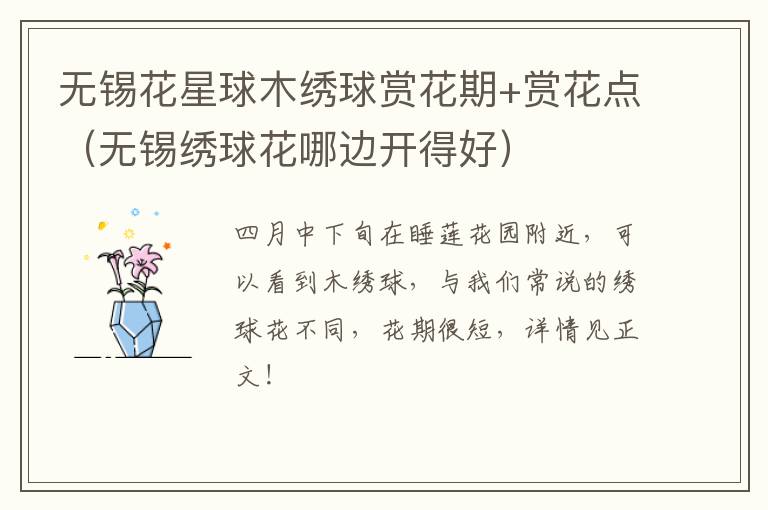 无锡花星球木绣球赏花期+赏花点（无锡绣球花哪边开得好）-九图集