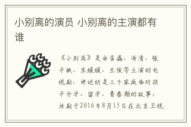 小别离的演员 小别离的主演都有谁-九图集