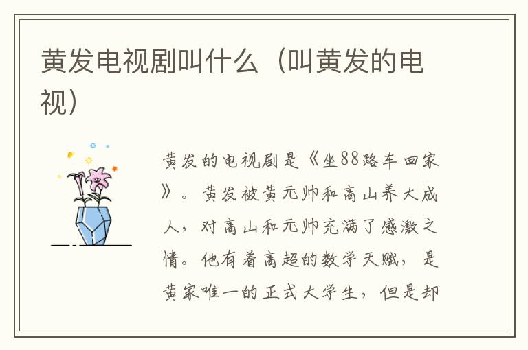 黄发电视剧叫什么（叫黄发的电视）