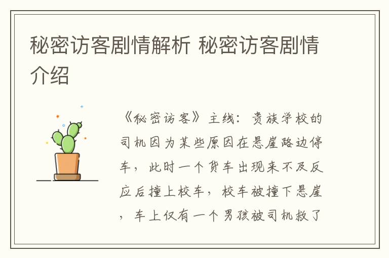 秘密访客剧情解析 秘密访客剧情介绍