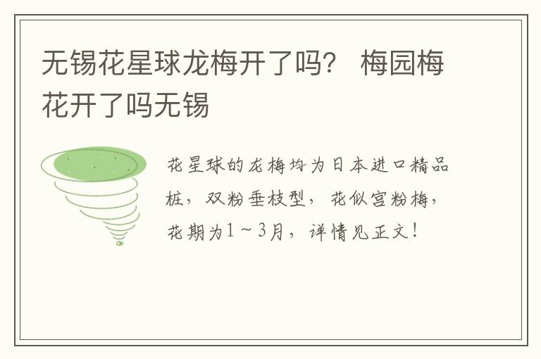 无锡花星球龙梅开了吗？ 梅园梅花开了吗无锡