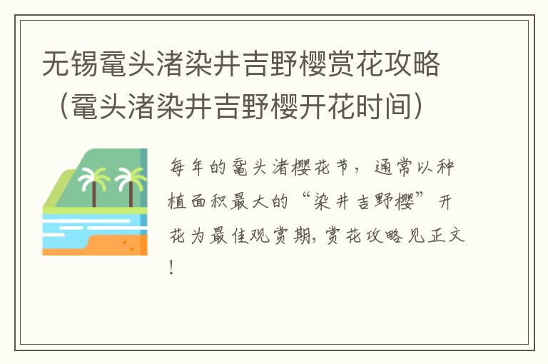 无锡鼋头渚染井吉野樱赏花攻略（鼋头渚染井吉野樱开花时间）