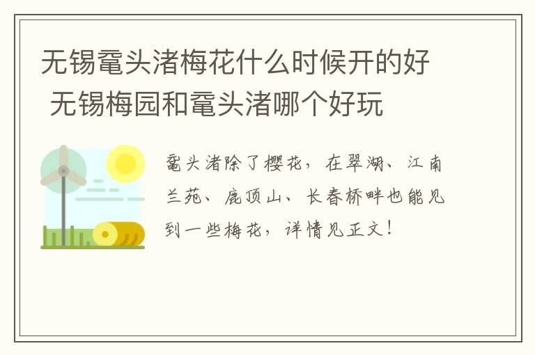 无锡鼋头渚梅花什么时候开的好 无锡梅园和鼋头渚哪个好玩-九图集