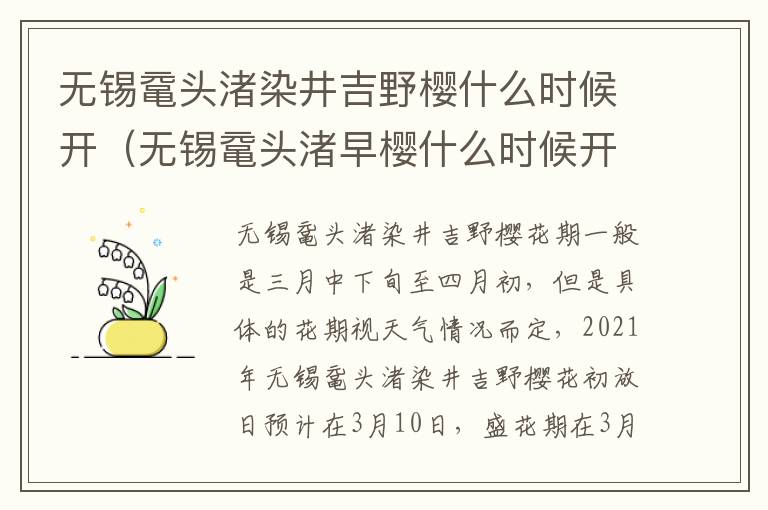 无锡鼋头渚染井吉野樱什么时候开（无锡鼋头渚早樱什么时候开）-九图集