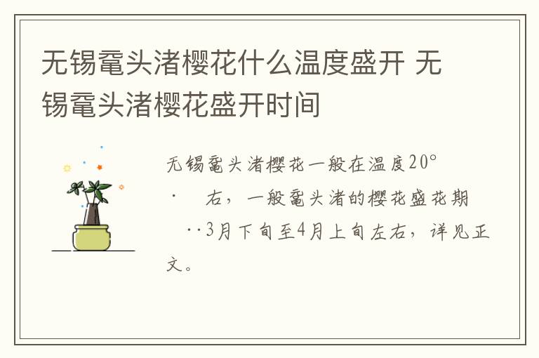 无锡鼋头渚樱花什么温度盛开 无锡鼋头渚樱花盛开时间-九图集