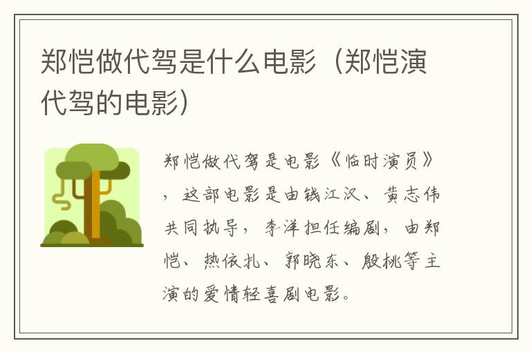 郑恺做代驾是什么电影（郑恺演代驾的电影）-九图集