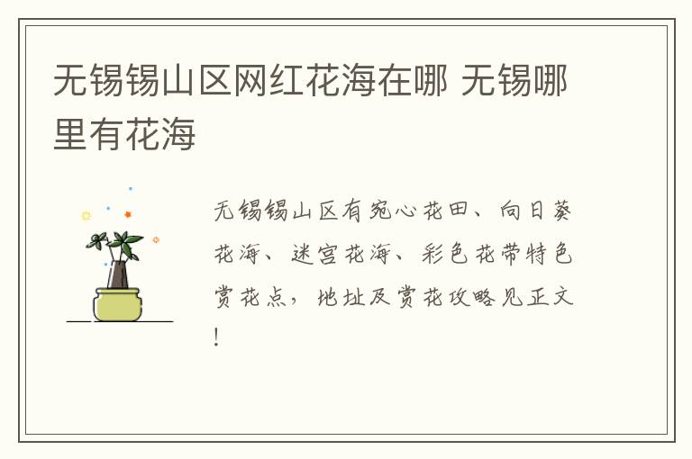 无锡锡山区网红花海在哪 无锡哪里有花海-九图集