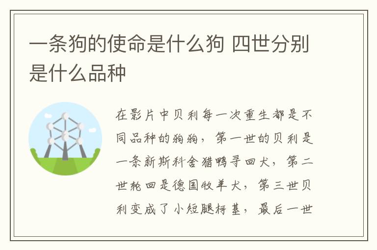 一条狗的使命是什么狗 四世分别是什么品种