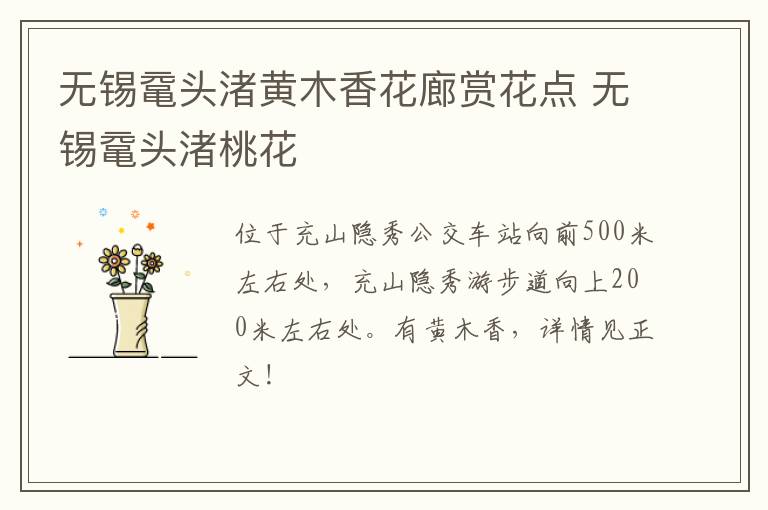 无锡鼋头渚黄木香花廊赏花点 无锡鼋头渚桃花
