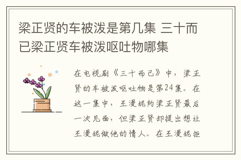 梁正贤的车被泼是第几集 三十而已梁正贤车被泼呕吐物哪集-九图集