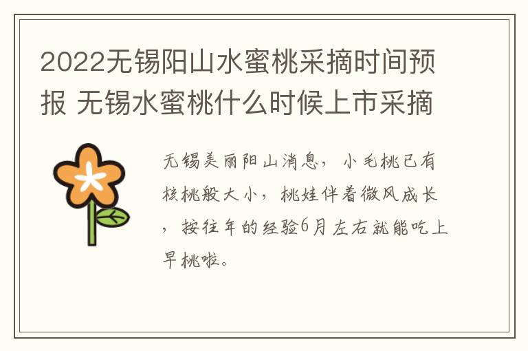 2022无锡阳山水蜜桃采摘时间预报 无锡水蜜桃什么时候上市采摘