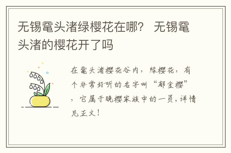 无锡鼋头渚绿樱花在哪？ 无锡鼋头渚的樱花开了吗-九图集