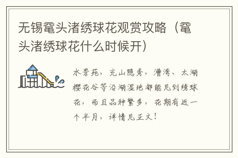 无锡鼋头渚绣球花观赏攻略(鼋头渚绣球花什么时候开)