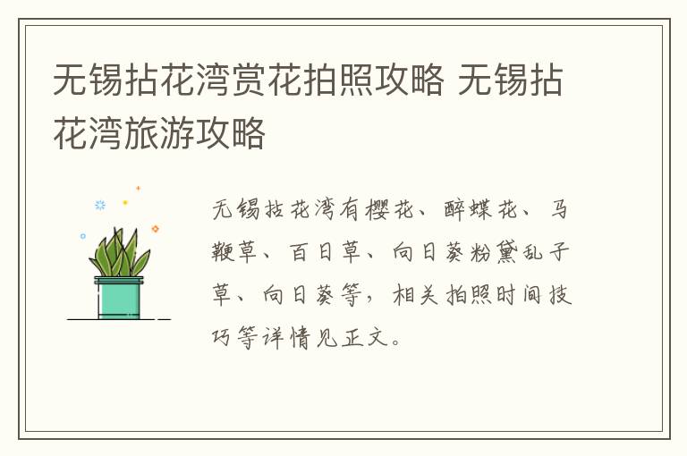 无锡拈花湾赏花拍照攻略 无锡拈花湾旅游攻略