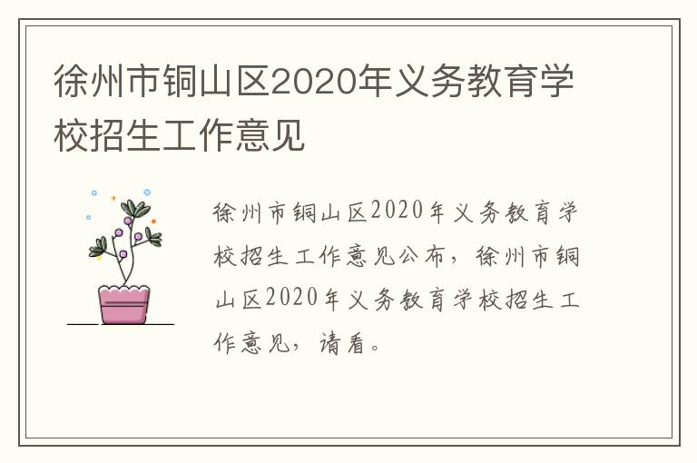 徐州市铜山区2020年义务教育学校招生工作意见-九图集