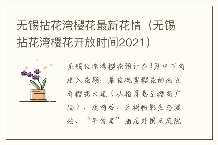无锡拈花湾樱花最新花情（无锡拈花湾樱花开放时间2021）-九图集