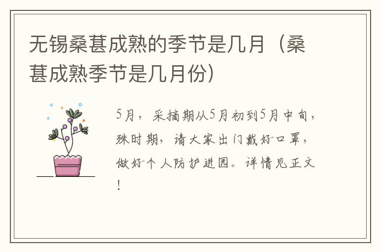 无锡桑葚成熟的季节是几月（桑葚成熟季节是几月份）-九图集